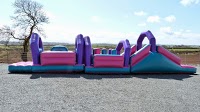 North Wales Inflatables and Rodeo Bull Hire 1097277 Image 4
